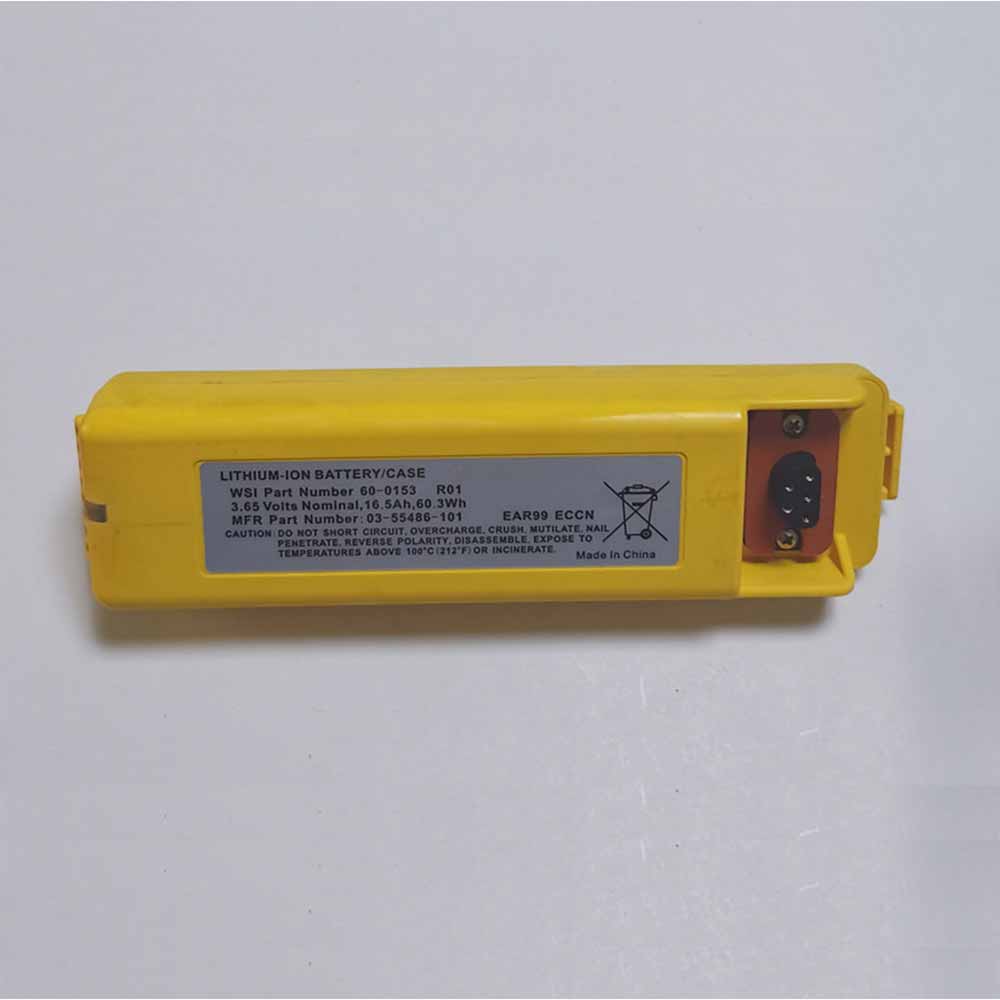 WSI 60-0153 R01 Batterie