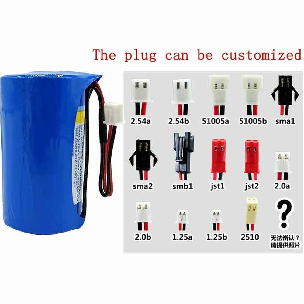 if the customer needs to customize the plug akku