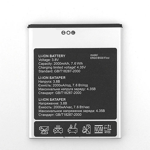 Batterie pour ERGO B500