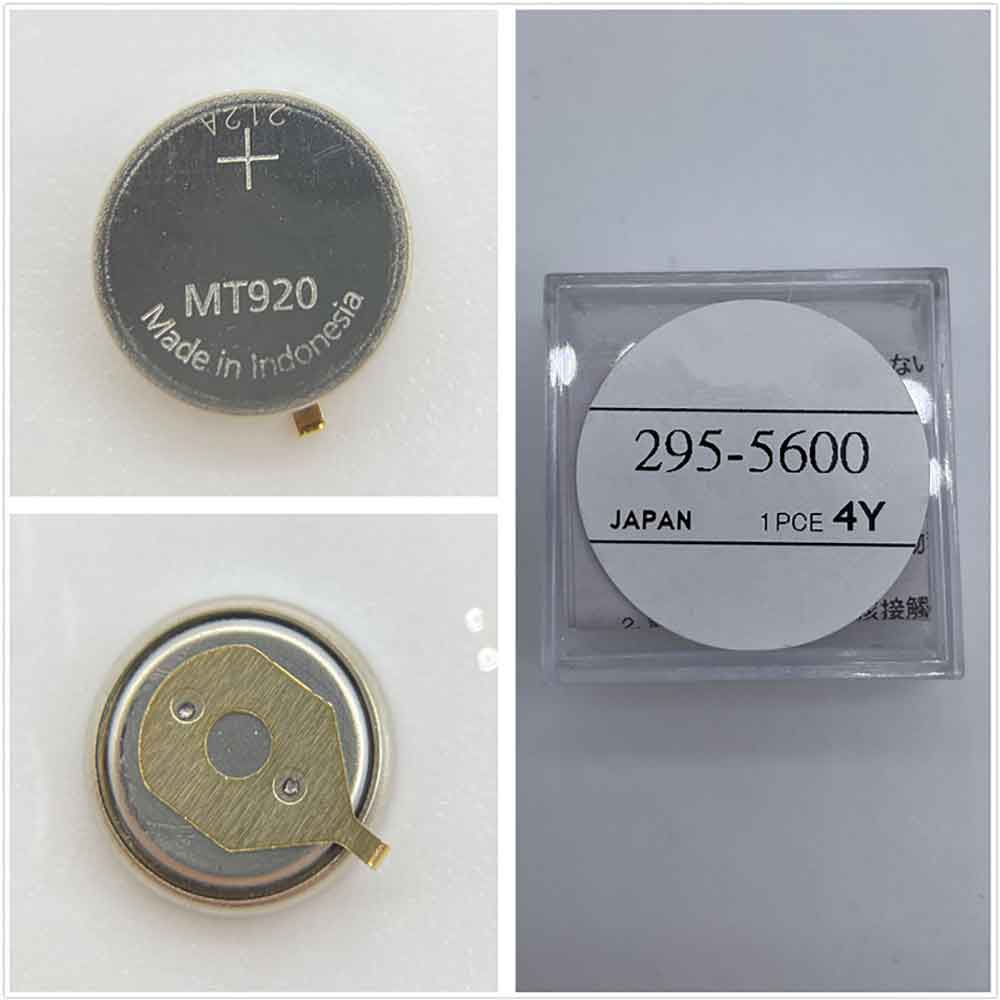 Batterie pour Citizen MT920(295-5600)